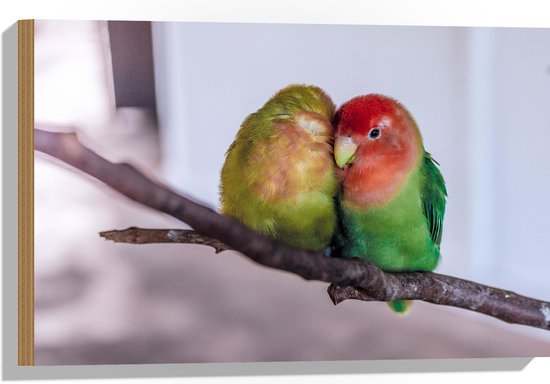 WallClassics - Hout - Twee Verliefde Vogeltjes op een Tak - 60x40 cm - 12 mm dik - Foto op Hout (Met Ophangsysteem)
