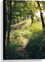 WallClassics - Canvas  - Bomen op Berg omhoog - 40x60 cm Foto op Canvas Schilderij (Wanddecoratie op Canvas)