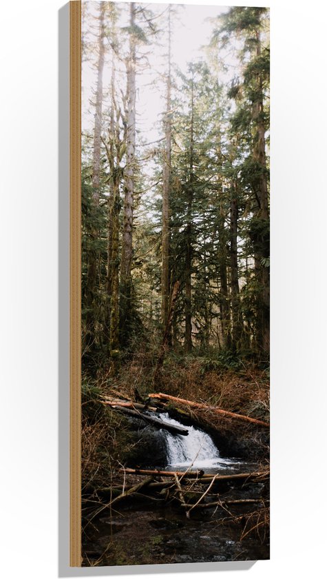 WallClassics - Hout - Kleine Natuur Waterval in het Bos - 30x90 cm - 12 mm dik - Foto op Hout (Met Ophangsysteem)