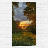 WallClassics - Muursticker - Soleil derrière les Buissons de la Berg - 50x100 cm Photo sur Muursticker