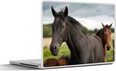 Laptop sticker - 12.3 inch - Paarden - Weide - Zweden - 30x22cm - Laptopstickers - Laptop skin - Cover