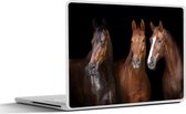 Laptop sticker - 14 inch - Paarden - Dieren - Zwart - Portret - 32x5x23x5cm - Laptopstickers - Laptop skin - Cover