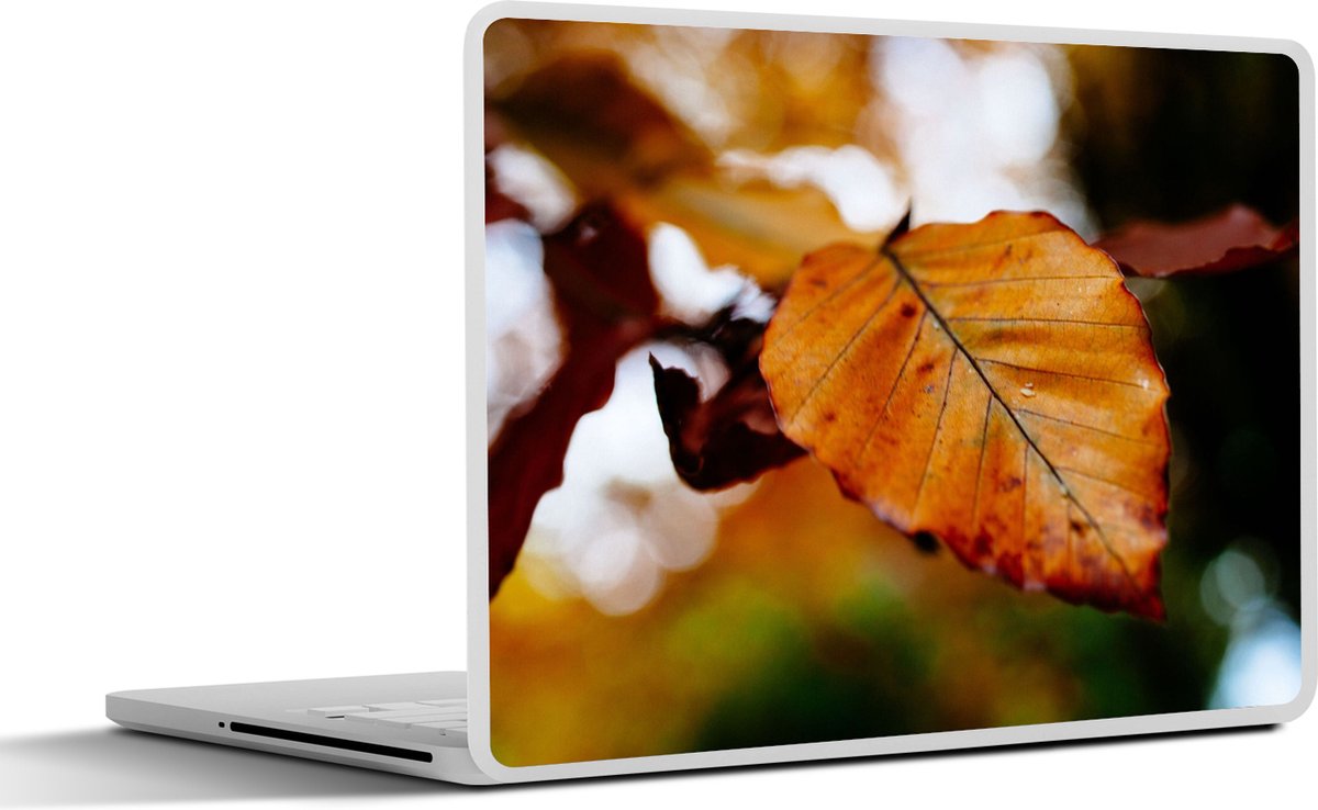 Laptop sticker - 13.3 inch - Beuk - Herfst - Bladeren - 31x22,5cm - Laptopstickers - Laptop skin - Cover