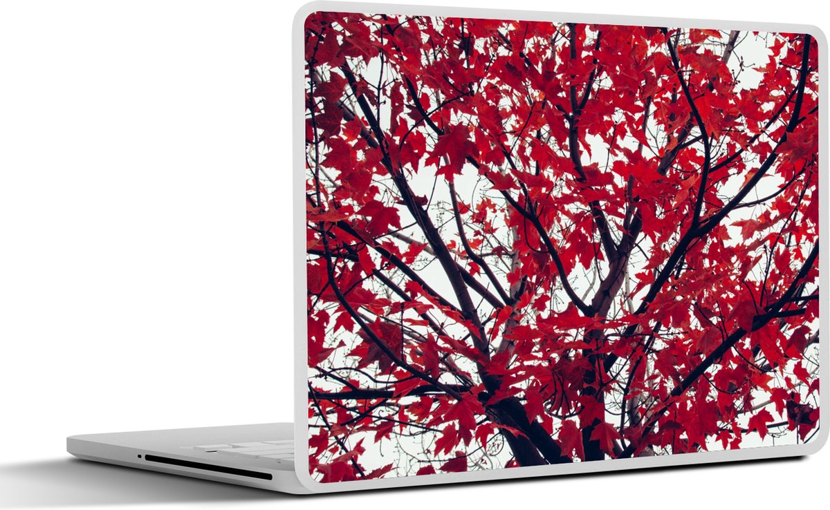 Laptop sticker - 15.6 inch - Esdoorn - Bladeren - Herfst - Natuur - 36x27,5cm - Laptopstickers - Laptop skin - Cover