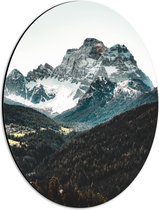WallClassics - Dibond Ovaal - Bomen bij Rotsachtige Bergen - 30x40 cm Foto op Ovaal (Met Ophangsysteem)