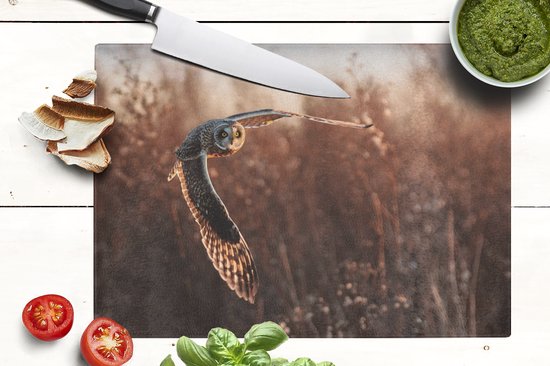 Planche à découper en Verres - 39x28 - Vogel - Hibou - Coucher de soleil - Nature - Planches à découper en Glas