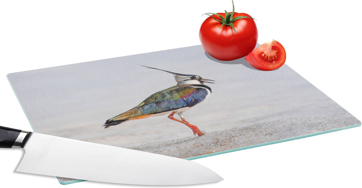 Glazen Snijplank - 28x20 - Vogel - Dieren - Zand - Kievit - Snijplanken Glas