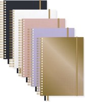 Livre à spirales Kangaro - Pure Croco - A4 - ligne - 5 couleurs - K-PM610005SKZ