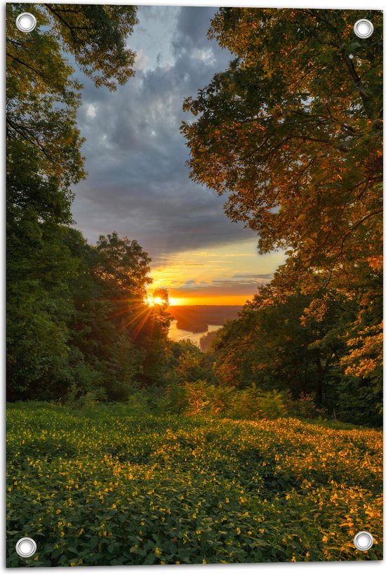 WallClassics - Tuinposter – Zon achter Struiken vanaf Berg - 40x60 cm Foto op Tuinposter  (wanddecoratie voor buiten en binnen)