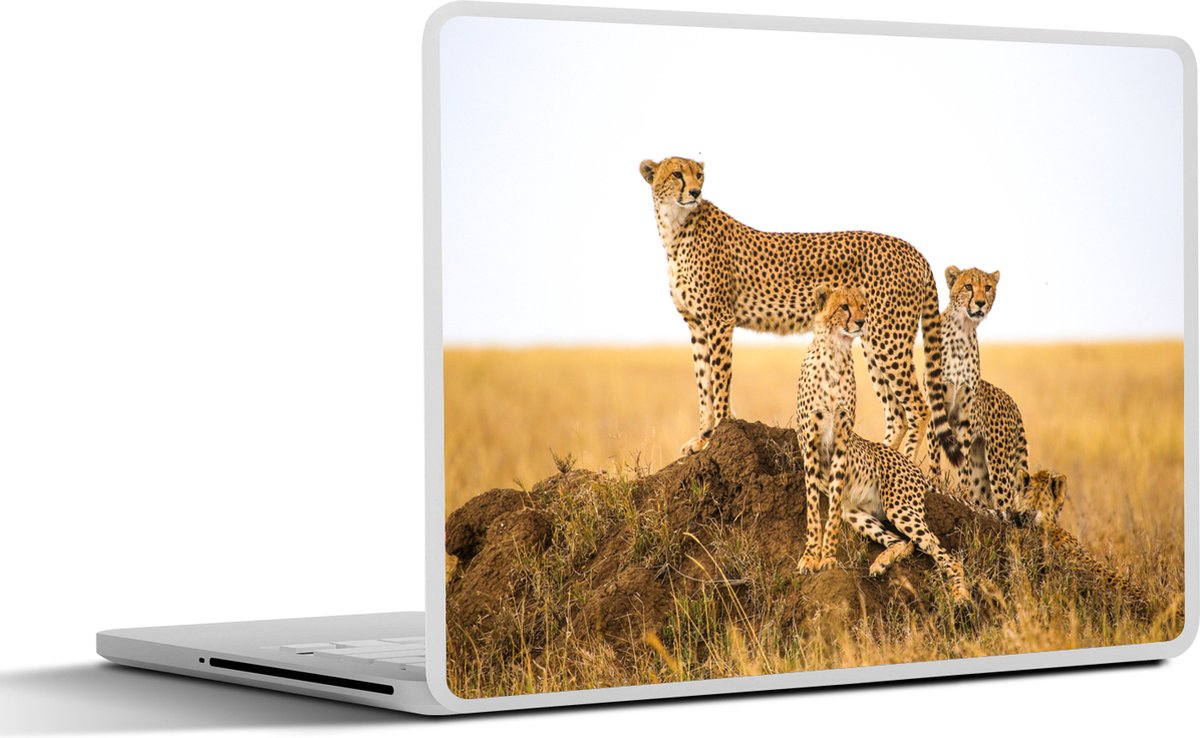 Laptop sticker - 13.3 inch - Cheetah - Gras - Natuur - Savanne - 31x22,5cm - Laptopstickers - Laptop skin - Cover