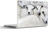 Autocollant pour ordinateur portable - 11,6 pouces - Moutons - Animaux - Ferme