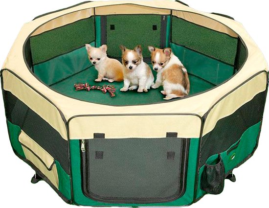 Show Tech - Pet Play Park - Groen - 8x37cmBx37cmH - Puppy Ren - opvouwbaar - Hondenren