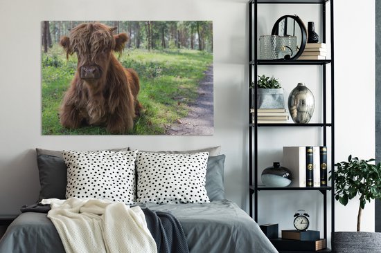 Tableau sur Toile Scottish Highlander - Crapaud - Animaux - 120x80 cm - Décoration murale