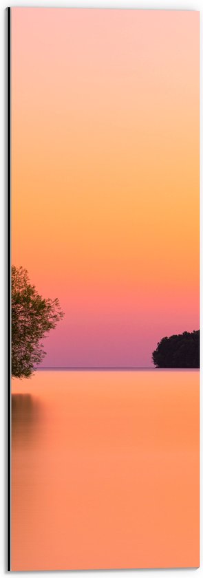 WallClassics - Dibond - Boom over Water bij Oranje/Roze Lucht - 20x60 cm Foto op Aluminium (Met Ophangsysteem)