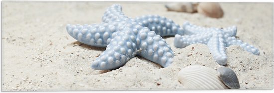 WallClassics - Vlag - Blauwe Zeesterren op het Strand - 60x20 cm Foto op Polyester Vlag