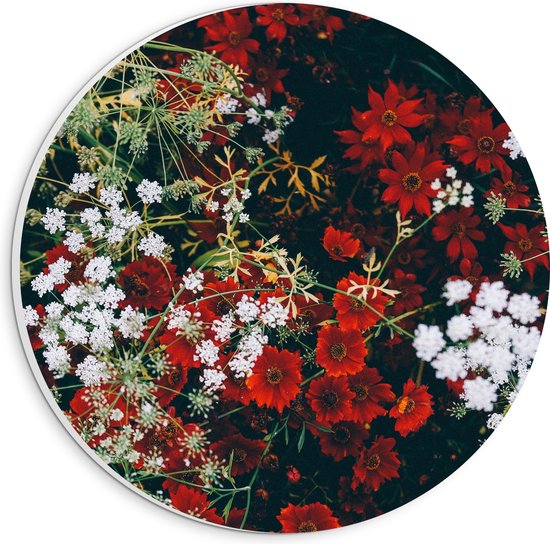 WallClassics - PVC Schuimplaat Muurcirkel - Bovenaanzicht op Rood-Witte Bloemen - 20x20 cm Foto op Muurcirkel (met ophangsysteem)