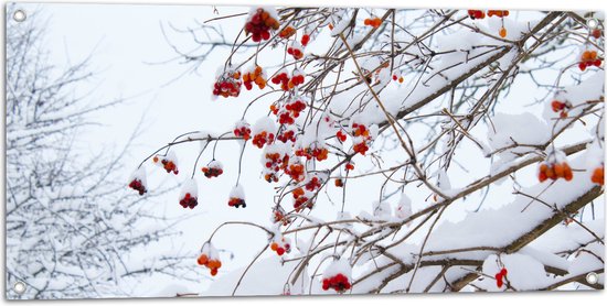 WallClassics - Tuinposter – Besneeuwde Bessen aan Takken - 100x50 cm Foto op Tuinposter  (wanddecoratie voor buiten en binnen)