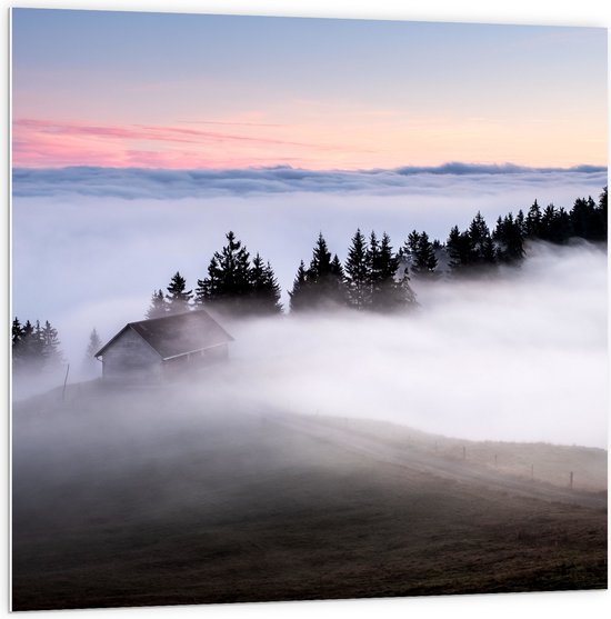 WallClassics - PVC Schuimplaat - Boomtoppen boven Mistlaag - 100x100 cm Foto op PVC Schuimplaat (Met Ophangsysteem)