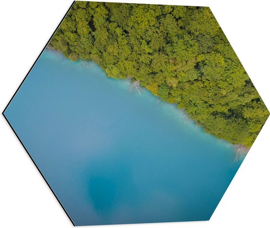 WallClassics - Dibond Hexagon - Blauwe Zee Vanuit de Lucht - 60x52.2 cm Foto op Hexagon (Met Ophangsysteem)