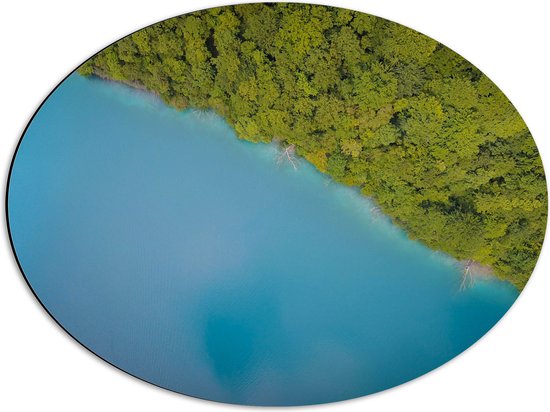 WallClassics - Dibond Ovaal - Blauwe Zee Vanuit de Lucht - 56x42 cm Foto op Ovaal (Met Ophangsysteem)