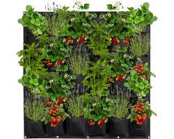 Verticale Tuin - 36 Vakken - 100 x 100 CM - Kweekzak - Kweekbak van Vilt - Moestuin – Plantenbak – Plantenzakken - Kweekzakken