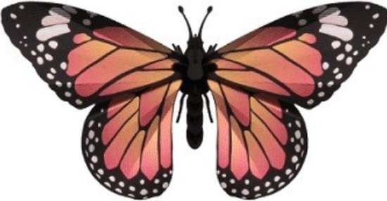 Assembli paper Monarch Butterfly