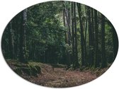 WallClassics - Dibond Ovaal - Bruin Pad in Bos - 96x72 cm Foto op Ovaal (Met Ophangsysteem)