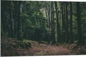 WallClassics - Dibond - Bruin Pad in Bos - 90x60 cm Foto op Aluminium (Wanddecoratie van metaal)