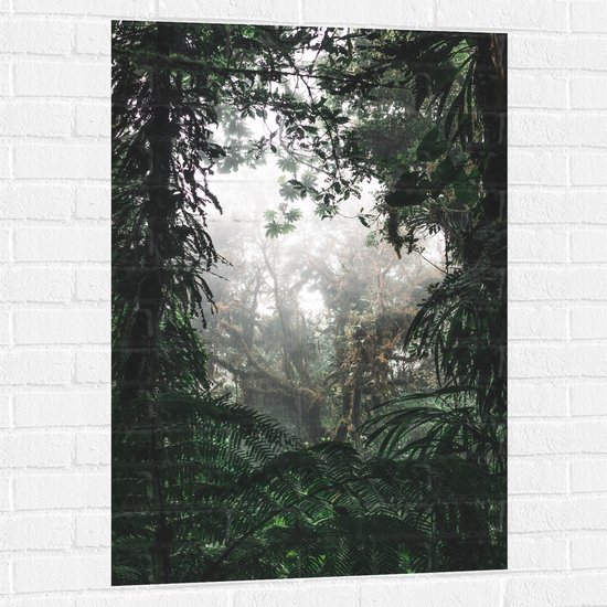 WallClassics - Muursticker - Végétation dans la forêt tropicale - 70x105 cm Photo sur Muursticker