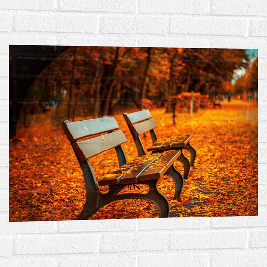 WallClassics - Muursticker - Bankjes tijdens Herfst in het Park - 80x60 cm Foto op Muursticker