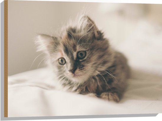 WallClassics - Hout - Schattige Poes op Bed - 80x60 cm - 12 mm dik - Foto op Hout (Met Ophangsysteem)