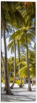 WallClassics - Dibond - Grote Groene Palmbomen - 40x120 cm Foto op Aluminium (Wanddecoratie van metaal)