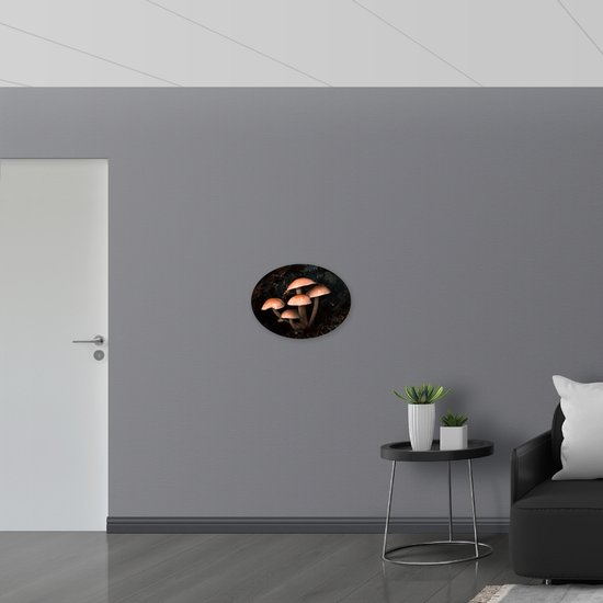 WallClassics - Panneau en mousse PVC ovale - Groupe de champignons - Photo 56 x 42 cm sur ovale (avec système de suspension)