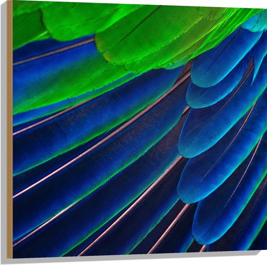 WallClassics - Hout - Prachtige Blauwe en Groene Veren - 80x80 cm - 12 mm dik - Foto op Hout (Met Ophangsysteem)
