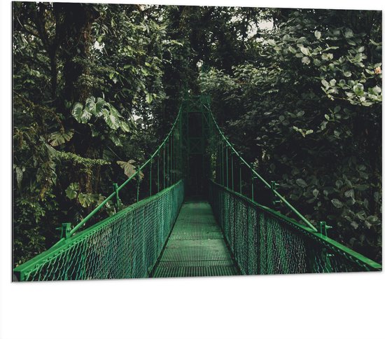 WallClassics - Dibond - Groene Brug in Bosgebied - 100x75 cm Foto op Aluminium (Met Ophangsysteem)