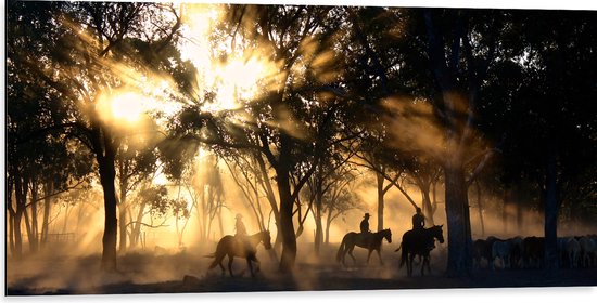 WallClassics - Dibond - Groepje Paarden in Bos verlicht door Zon - 100x50 cm Foto op Aluminium (Wanddecoratie van metaal)