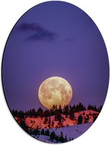 WallClassics - Dibond Ovaal - Grote Volle Maan boven SneeuwBerg - 30x40 cm Foto op Ovaal (Met Ophangsysteem)