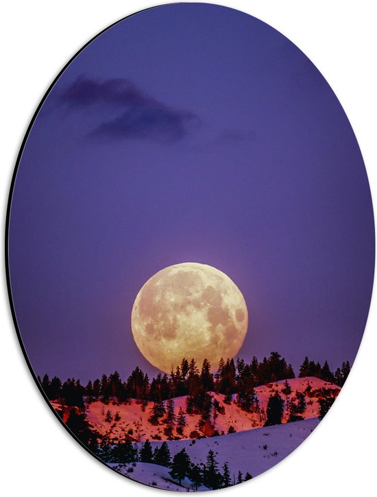 WallClassics - Dibond Ovale - Grande Pleine Lune au-dessus d'une Montagne Enneigée - Photo 30x40 cm sur Ovale (Avec Système d'accrochage)