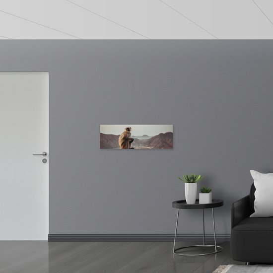 WallClassics - Hout - Langoeren Aap op een Rots - 90x30 cm - 12 mm dik ...