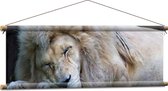 WallClassics - Affiche Textile - Lion Witte Endormi - 90x30 cm Photo sur Textile
