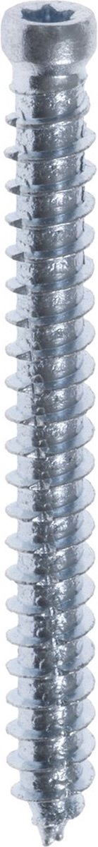 FIS-FIX Beton-kozijnschroeven 7.5 x 152 mm - cilinderkop - staal - verzinkt - TX30 (Per 100 stuks)