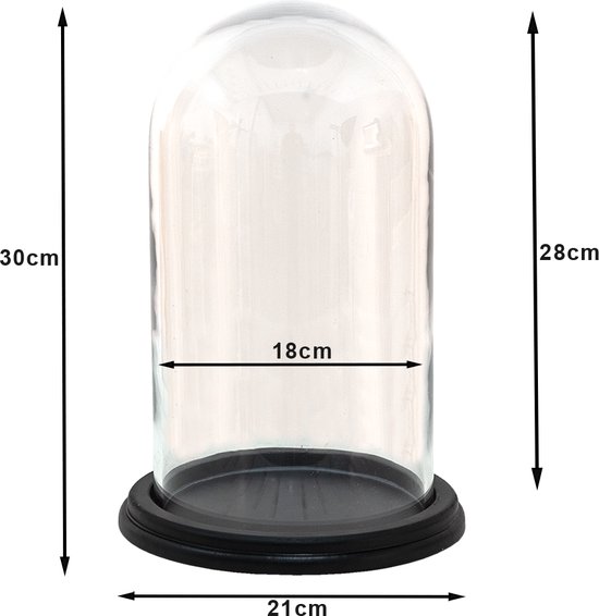 Cloche en verre avec base en bois