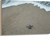 WallClassics - Hout - Kleine Baby Schildpad op het Strand - 100x75 cm - 12 mm dik - Foto op Hout (Met Ophangsysteem)