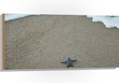 WallClassics - Hout - Kleine Baby Schildpad op het Strand - 100x50 cm - 12 mm dik - Foto op Hout (Met Ophangsysteem)