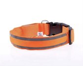 Mysty - Halsband Voor Hond - LED - hondenhalsband - Kattenhalsband - Oranje - L