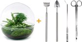 Terrarium - Dome XL - ↑ 30 cm - Ecosysteem plant - Kamerplanten - DIY planten terrarium - Mini ecosysteem + Hark + Schep + Pincet + Schaar