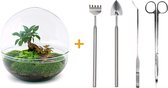 Terrarium - Dome XL bonsai - ↑ 30 cm - Ecosysteem plant - Kamerplanten - DIY planten terrarium - Mini ecosysteem + Hark + Schep + Pincet + Schaar