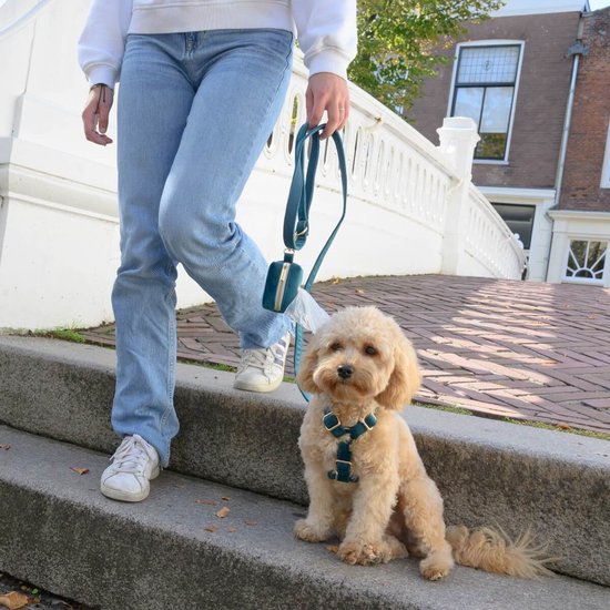 Honden poep zakjes houder zwart | voor uw hond