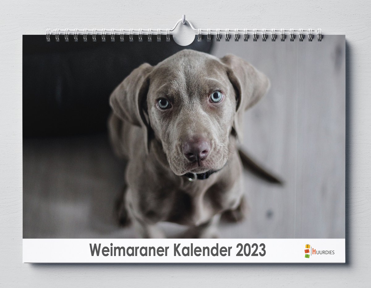 Weimaraner kalender 2023 | 35x24 cm | jaarkalender 2023 | Wandkalender 2023