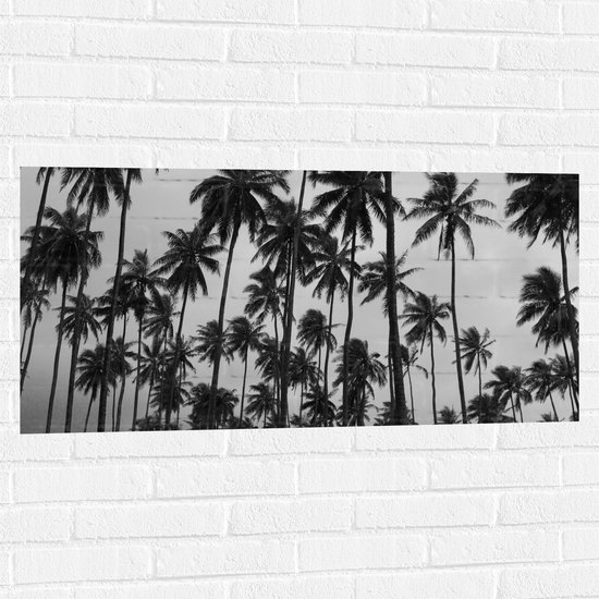 WallClassics - Muursticker - Heel Veel Palmbomen Zwart / Wit - 100x50 cm Foto op Muursticker